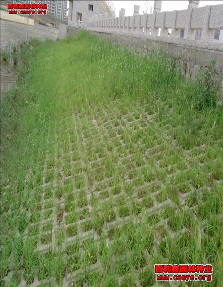 铁路护坡种草植草袋
