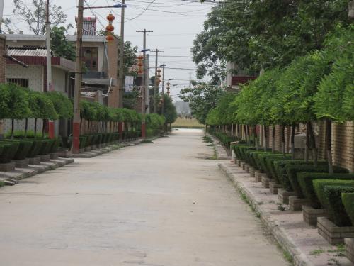 陕西西安乡村道路绿化