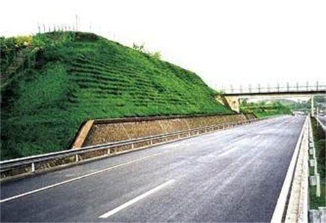 公路绿化护坡草籽