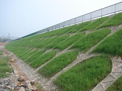 边坡绿化与生态防护