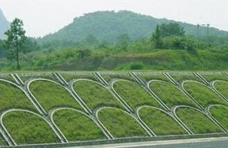 四川边坡绿化草种